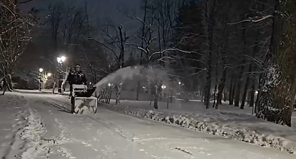 Михаил Исаев потребовал не калечить зеленые насаждения при уборке снега в парках и скверах